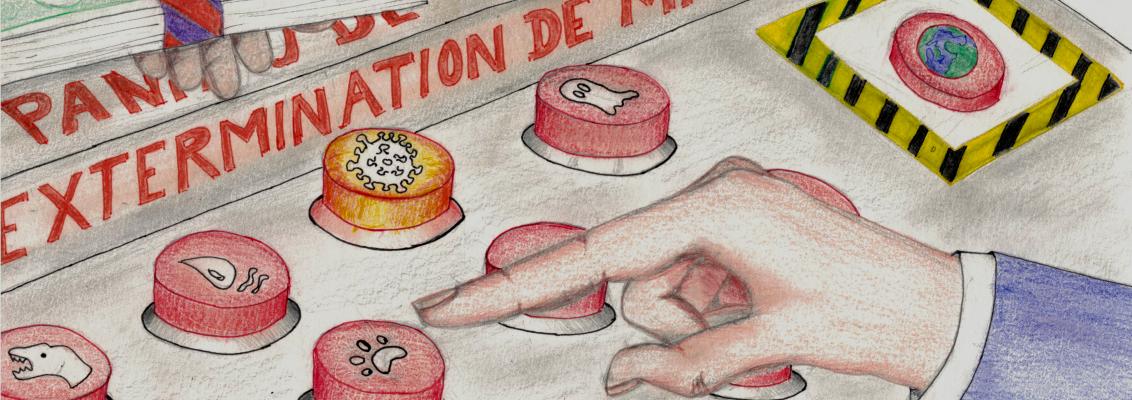 Le développement durable vu par des élèves de 4ème  ( 2019/2020)