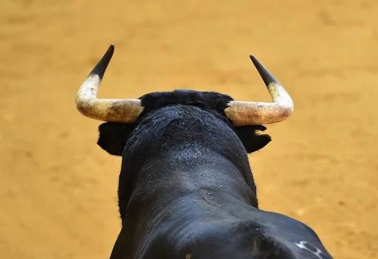 La maltraitance animale