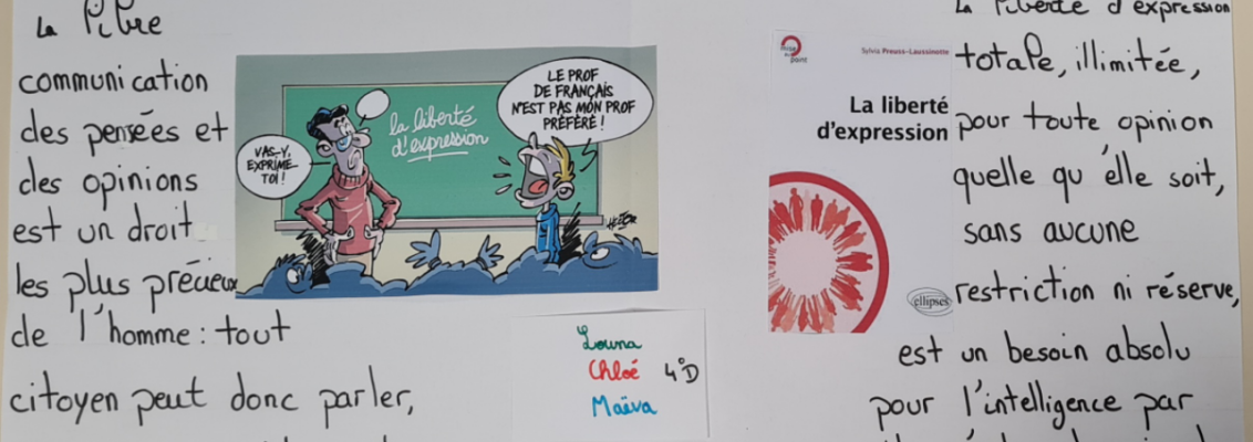 La liberté d'expression