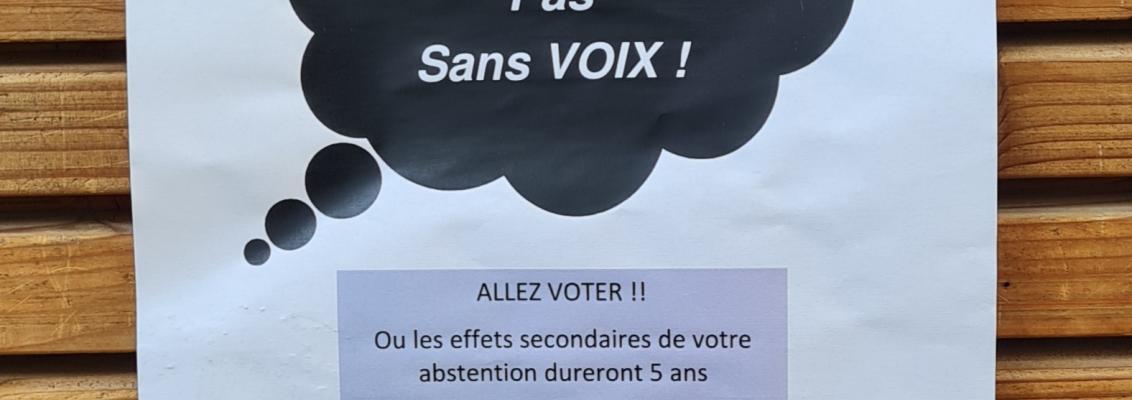 La liberté de vote