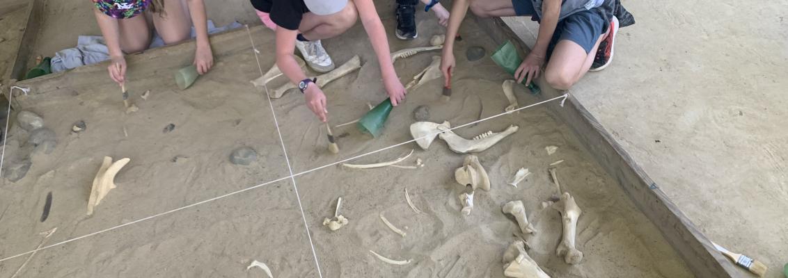Article #1 : on a visité le préhistosite de Brassempouy