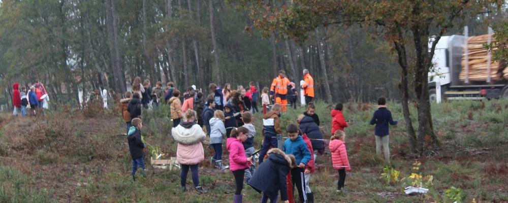 Une nouvelle forêt pour les élèves de l'école primaire de Rion des Landes