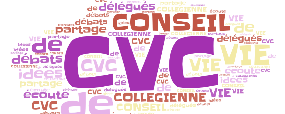 Interview Conseil de la Vie Collégienne
