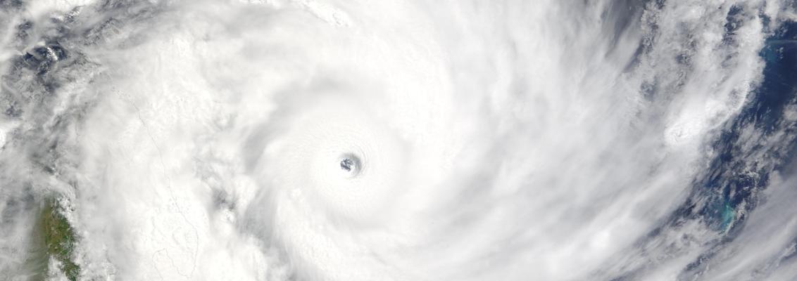 Une nature en danger!