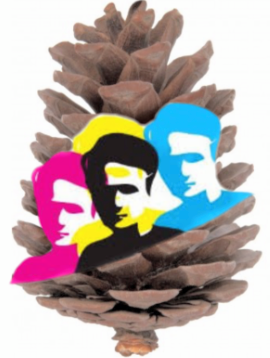 Logo du groupe de collégiens de Rion des Landes